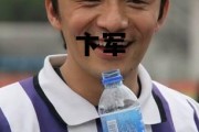 卞军_卞军凤