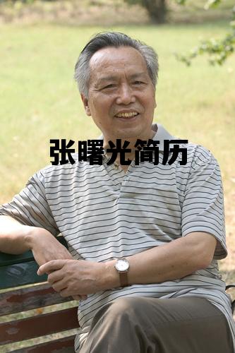 张曙光简历_张曙个人简历