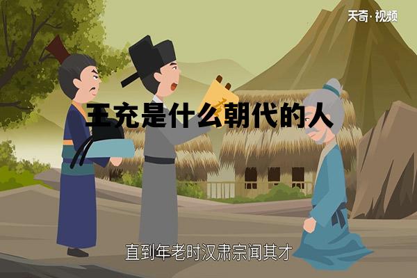 王充是什么朝代的人_王充是什么朝代的人士