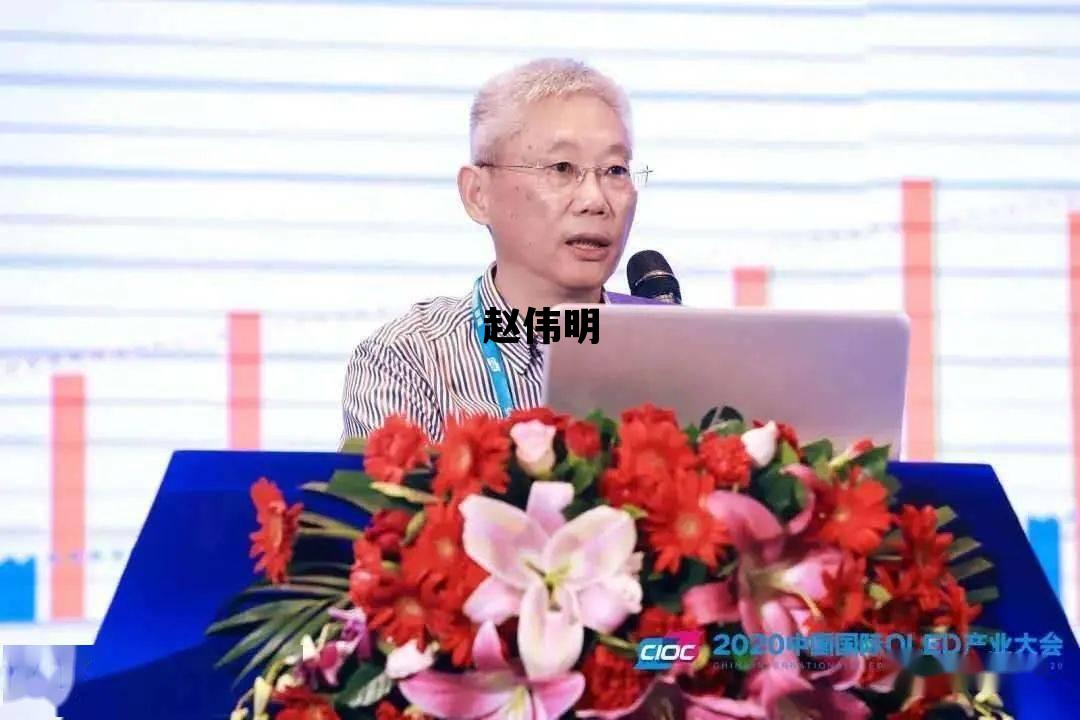 赵伟明_赵伟明是谁