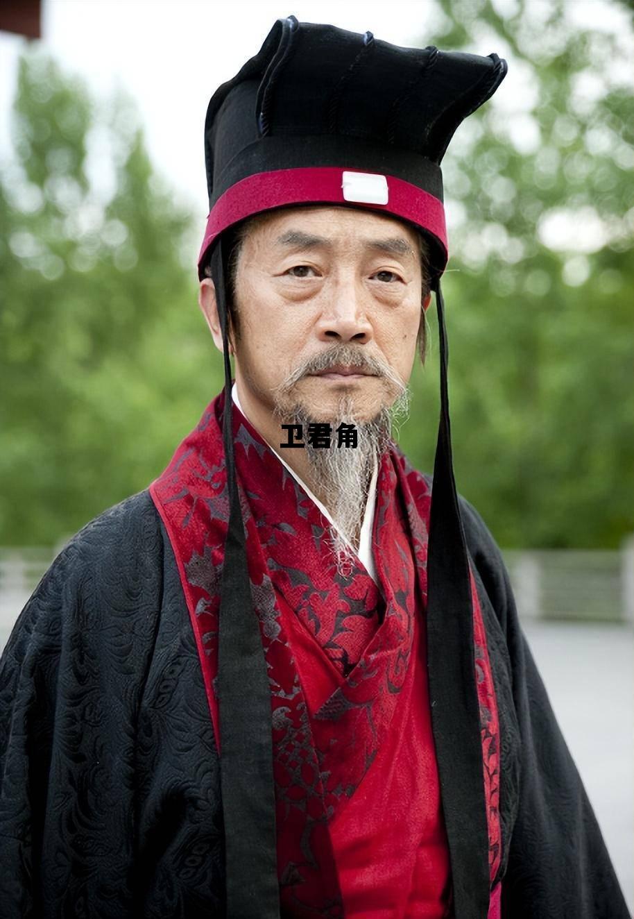 卫君角_卫君角为什么要坚守魏国河内
