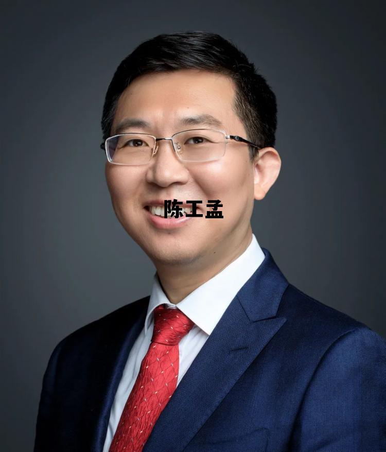 陈工孟_陈工孟哪里人